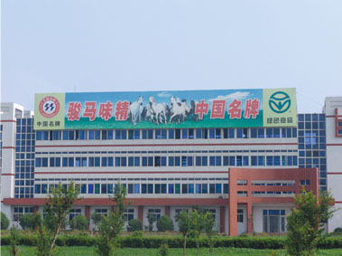 齊魯味精集團(tuán)辦公大樓